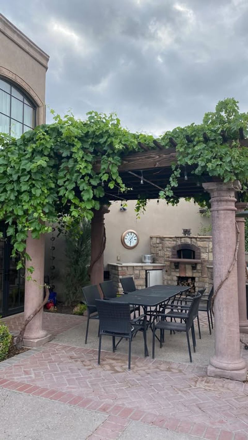 Why A Grape Arbor Over The Patio Can Backfire Why A Grape Arbor Over The Patio Can Backfire