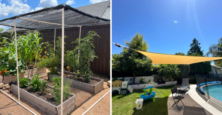Why Arizona Gardeners Are Choosing Shade Sails Over Patios This Summer