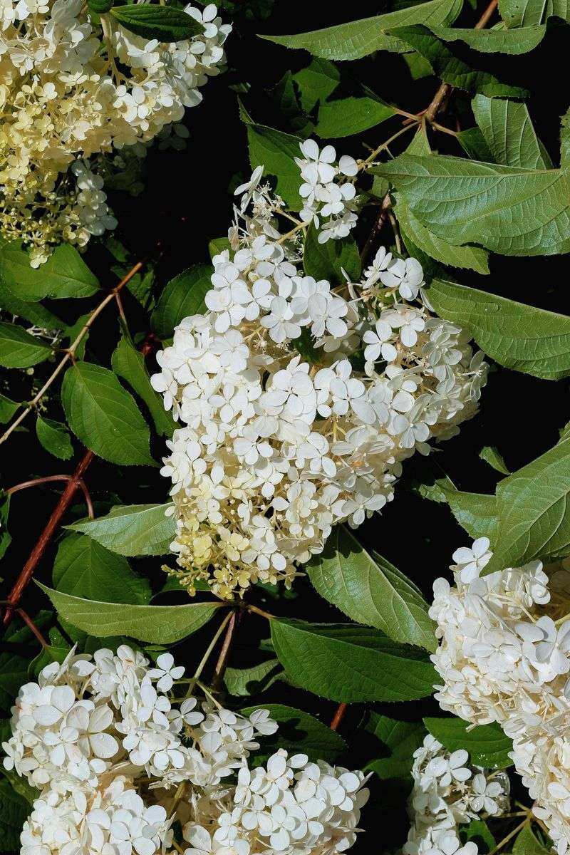 Why Bare Soil Creates Problems In Summer