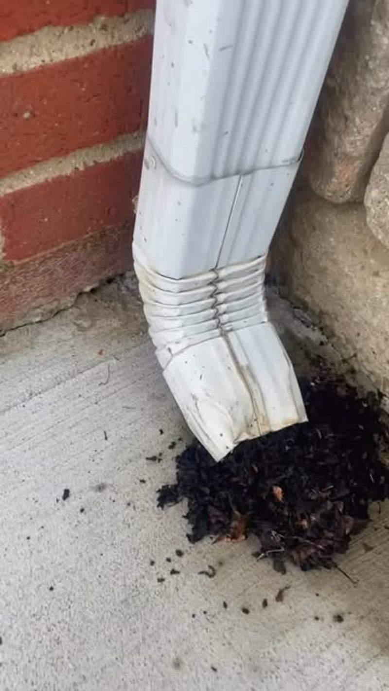 Why Downspout Outlets Matter Too