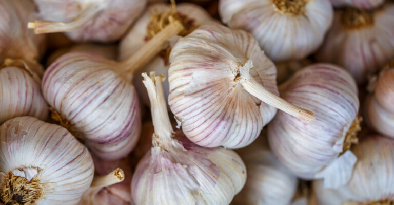 Why Indiana Gardeners Plant Garlic In Fall For A Richer, More Flavorful Summer Harvest