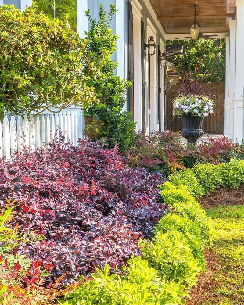 Why Loropetalum Gets Scraggly Without Pruning