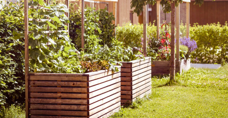 Why More South Carolina Gardeners Are Building Higher Raised Beds This Season