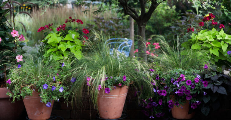 container garden