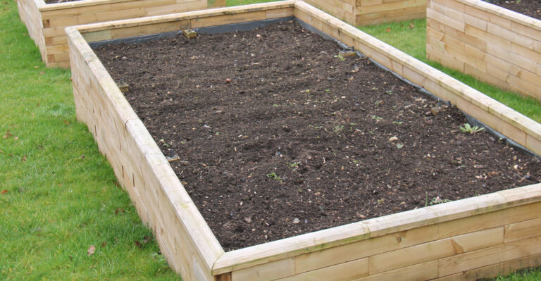 raised bed soil