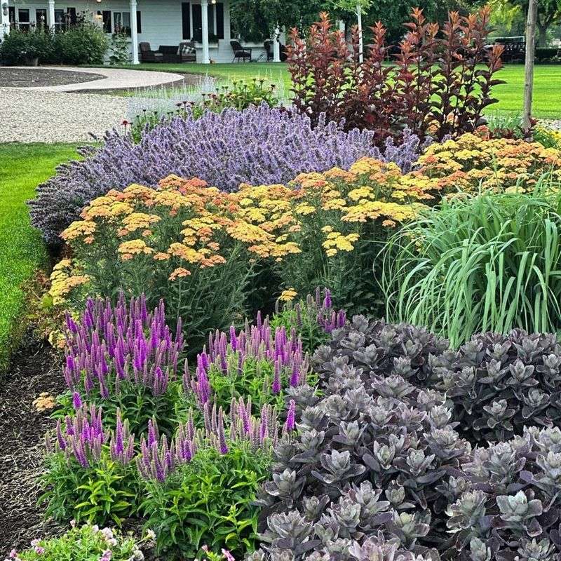 Why Perennials Skip Blooming