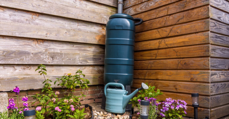 Why Rain Barrels Have Become A Virginia Backyard Staple And What Changed