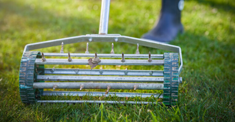 Why Tennessee Soil Compacts So Quickly In Summer, And How To Loosen It Without Harming Roots