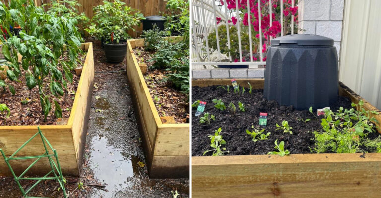 Why Well-Fed Plants Still Look Terrible And What The Oregon Soil Is Actually Telling You