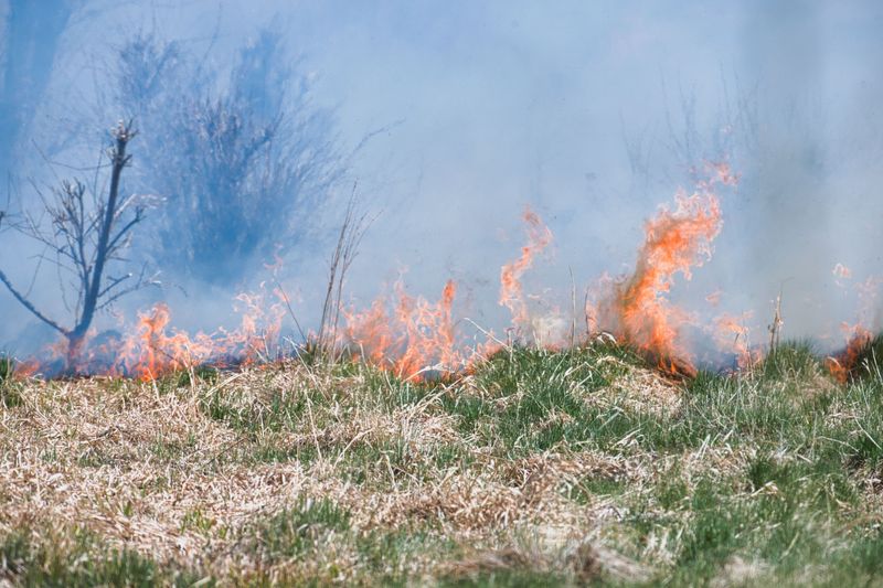 Wildfire Risk Increases Significantly Wildfire Risk Increases Significantly