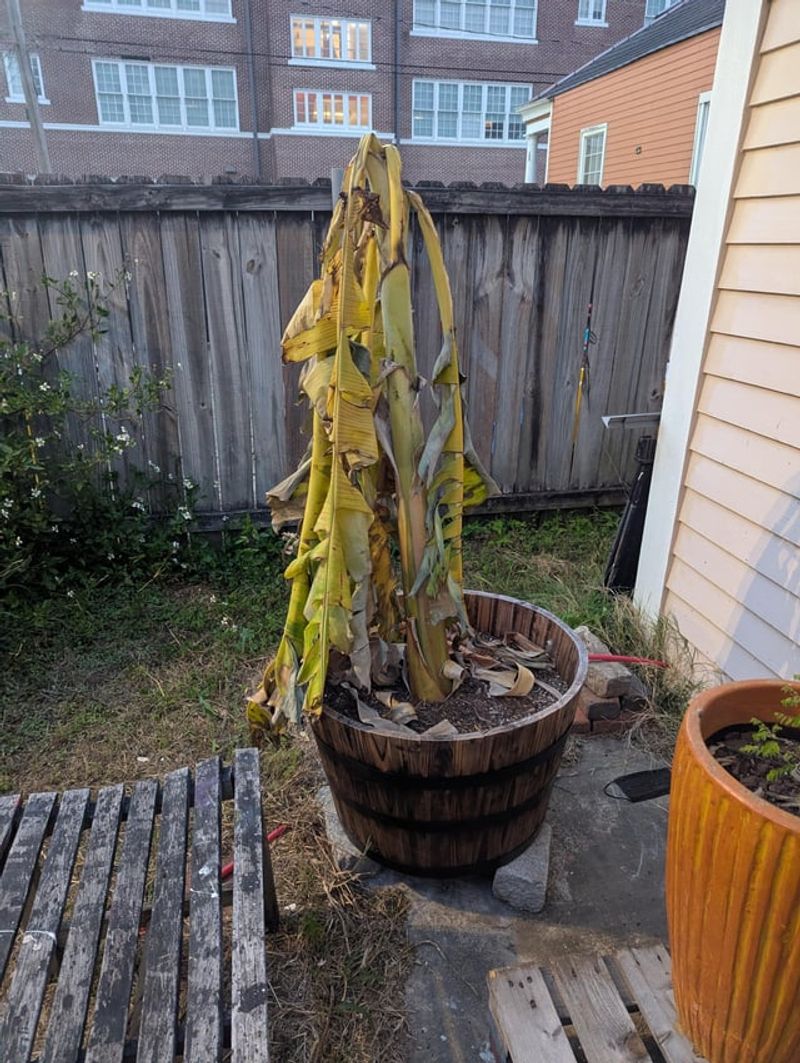 Wind Damage Is A Bigger Problem Than Most Expect