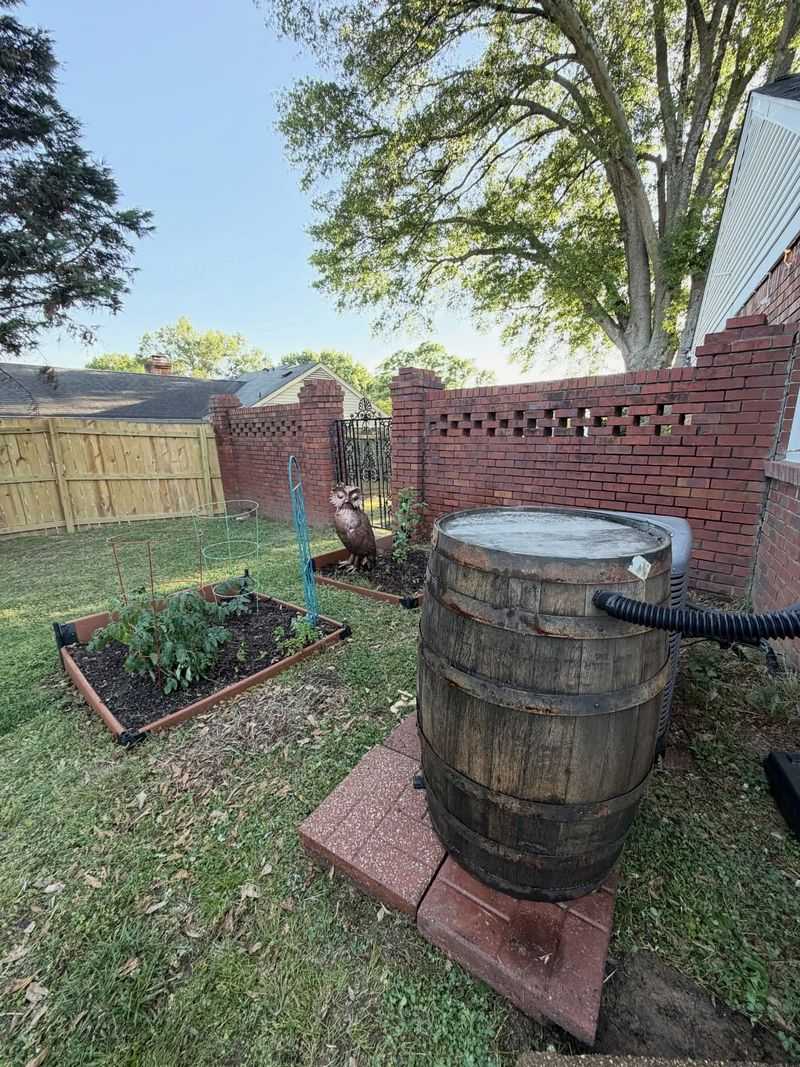 Winter And Maintenance Considerations