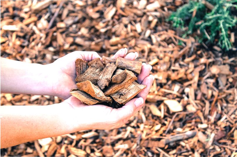 Wood Chips Can Smolder After Ignition