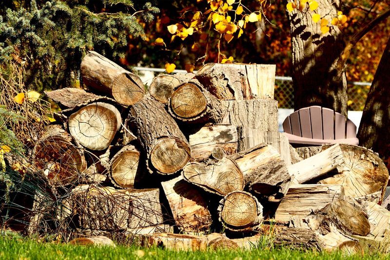 Wood Piles And Rock Walls Wood Piles And Rock Walls