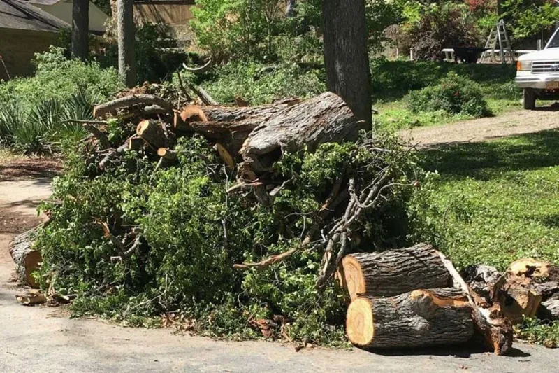 Wood Piles And Yard Debris