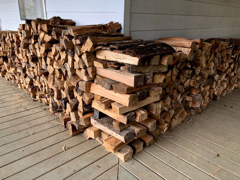 Wood Piles Near Homes Create More Hiding Spots