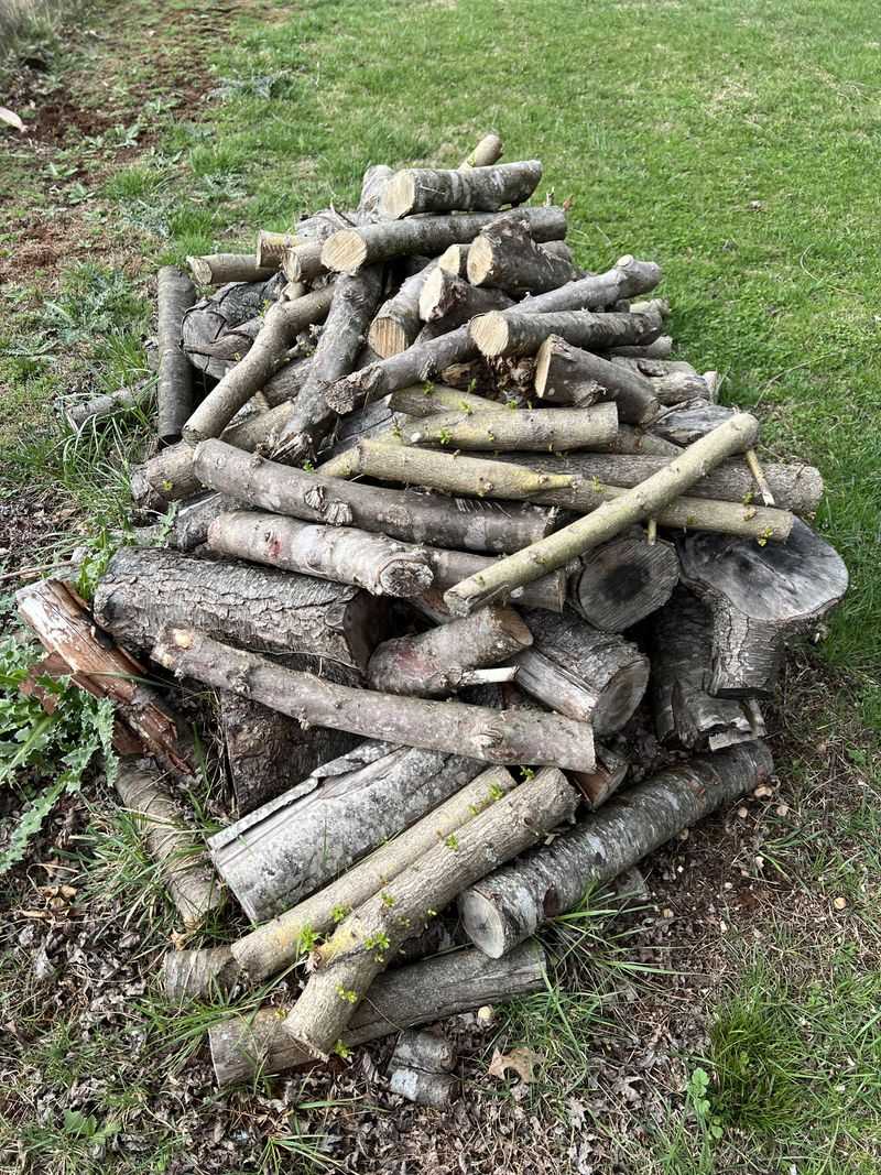 Woodpiles And Brush Piles Woodpiles And Brush Piles