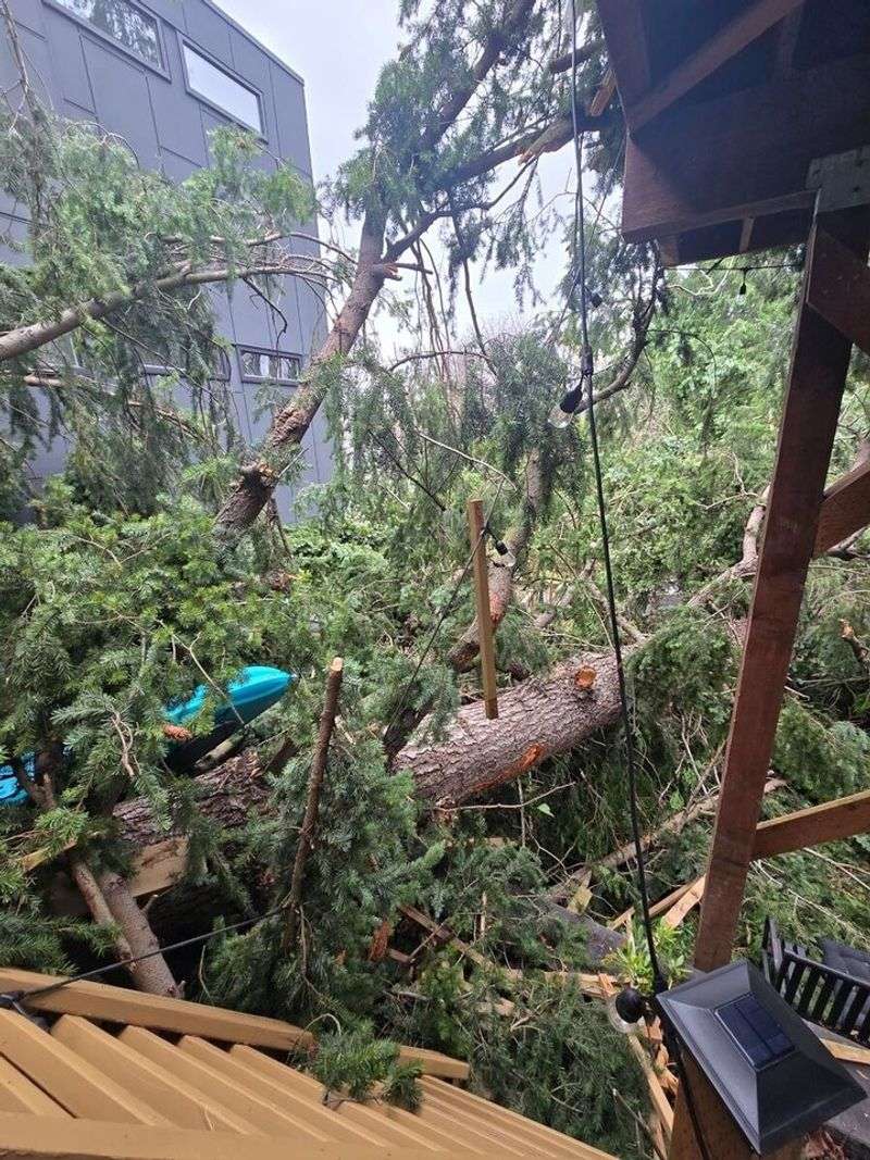 Written Warnings And Arborist Reports Matter