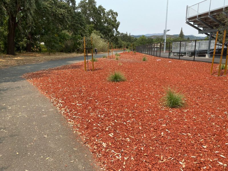 Wrong Mulch Type Has Too Much Air Space And Floats Fast