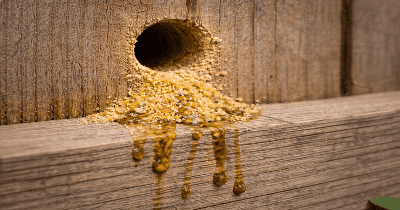 Yellow Stains Mark The Wood