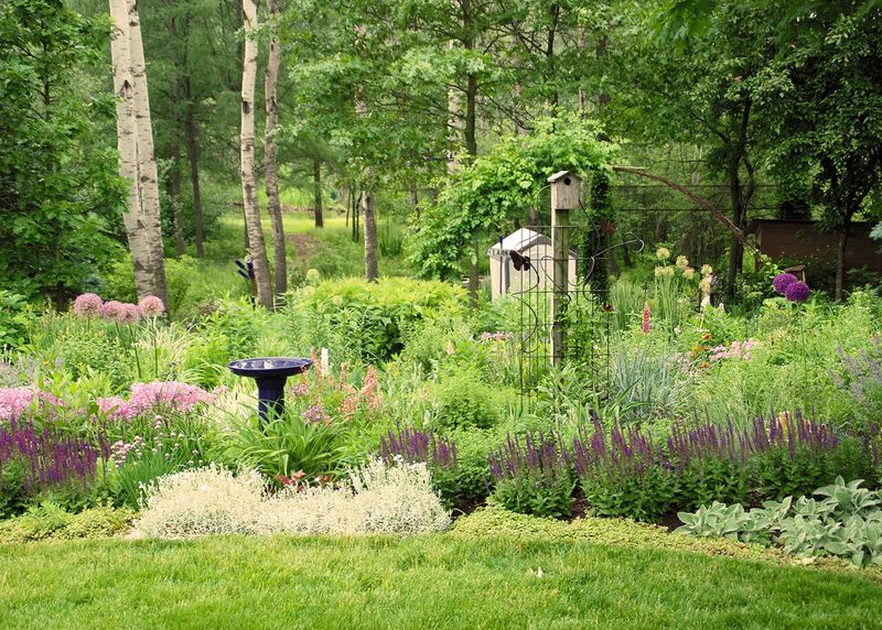 You Live Near Good Wildlife Habitat