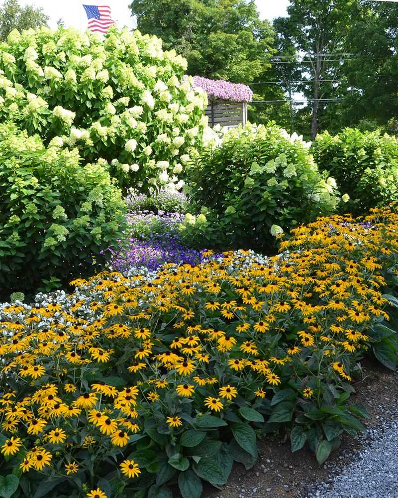Younger Growth Pushes Wider Color Swaths Across Garden Borders