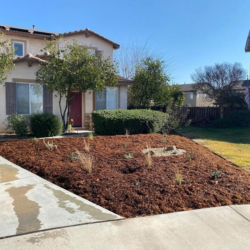 Your HOA Cannot Force Turf Grass Everywhere