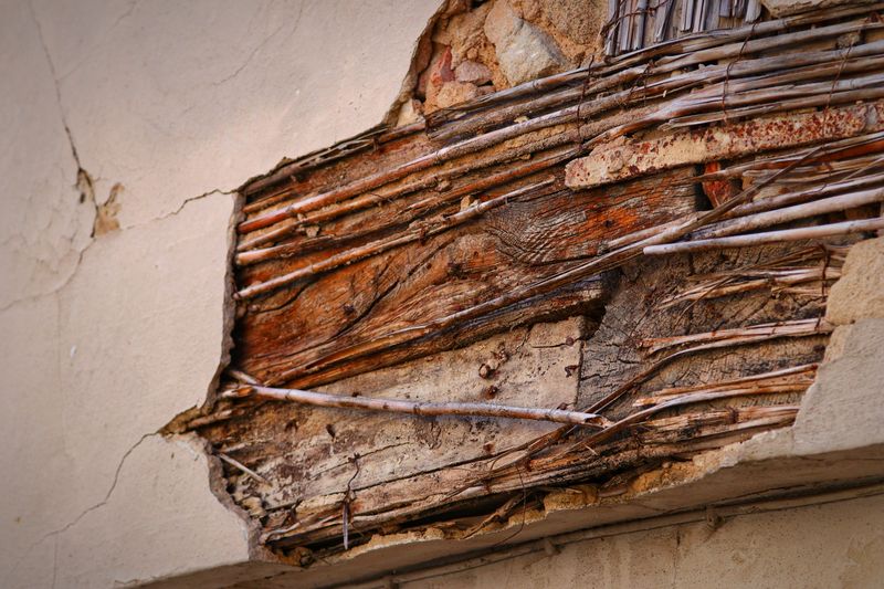 Your Home Has Warm Wall Voids That Bugs Love To Explore