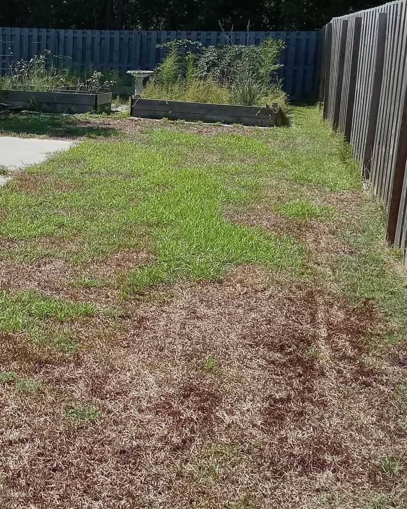 Your Lawn Is Thirsty And Showing It