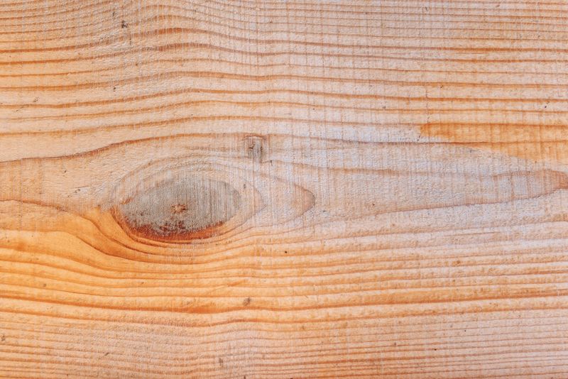 Your Wood Is Bare And Untreated
