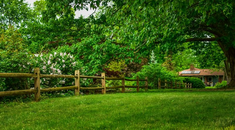 Your Yard Is A Healthy, Welcoming Habitat