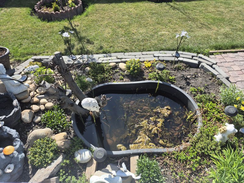 Your Yard May Have More Standing Water Than You Think