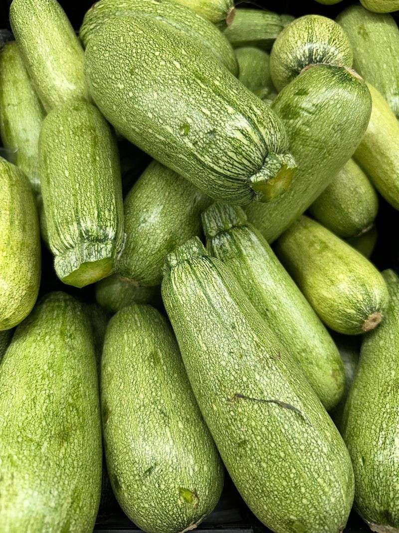 Zucchini Zucchini