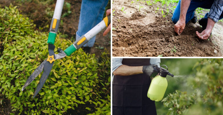 10 Garden Tasks To Skip In Virginia During July Heatwaves