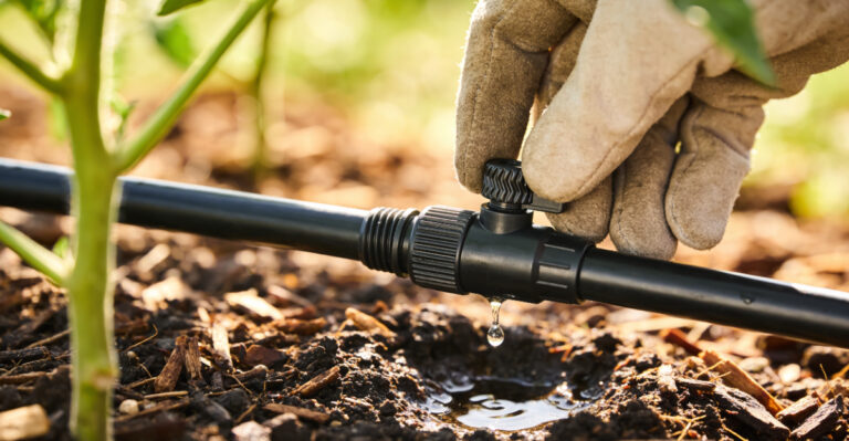 10 Smarter Ways For Massachusetts Gardeners To Water Their Gardens