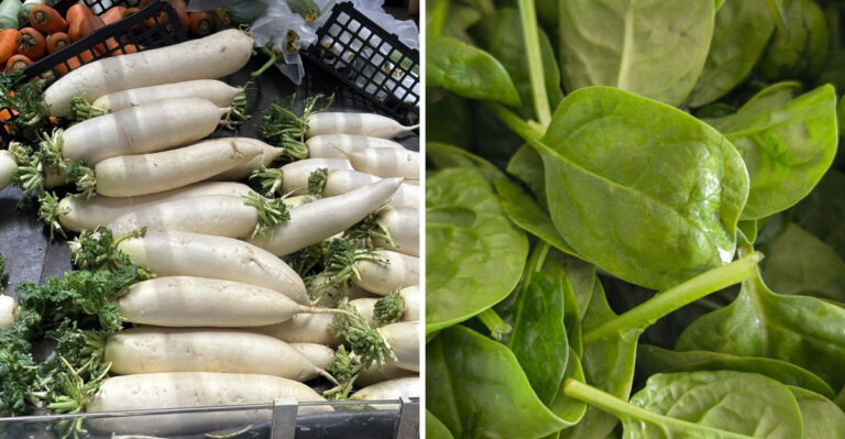 7 Cold-Hardy Vegetables Every Minnesota Gardener Should Plant This Month
