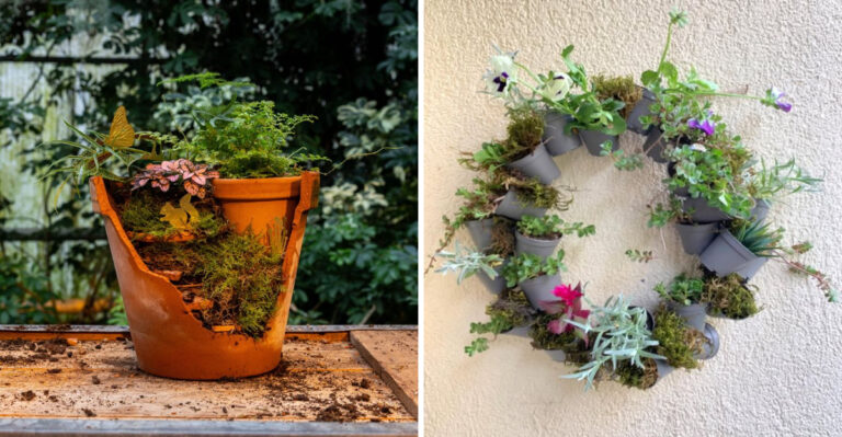 7 Creative Ways To Reuse Old Flower Pots In Pennsylvania