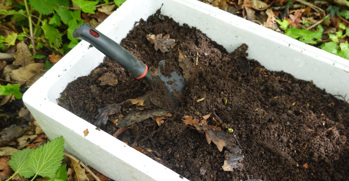 leaf mold