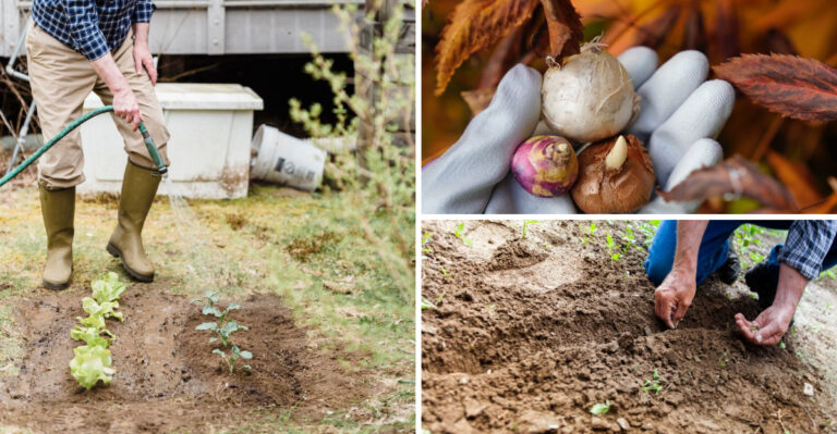 7 New Jersey Garden Tasks To Finish Before July Ends