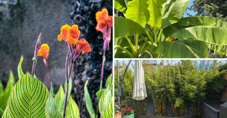 7 Plants That Will Transform Your New Jersey Yard Into A Lush Jungle Retreat