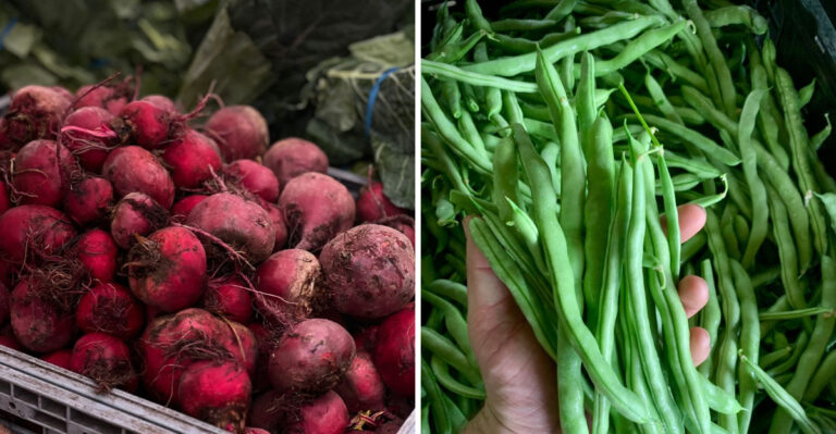 7 Vegetables To Plant In July For A Wisconsin Garden That Lasts Into Winter