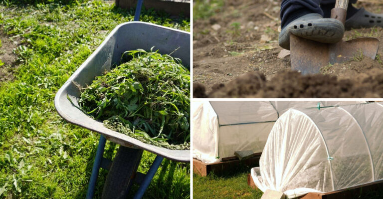 8 Corn Belt Gardening Tricks Illinois Suburban Yards Actually Use