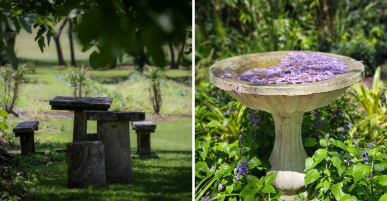 8 Creative Ways To Hide A Tree Stump In Your Tennessee Yard