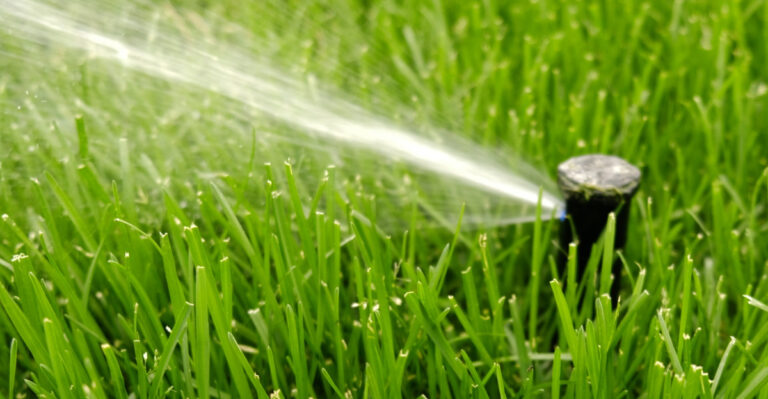 8 Desert-Proven Sprinkler Rules From Nevada’s Irrigation Experts
