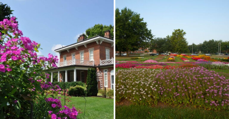 8 Hidden Ohio Gardens That Are Still Worth Visiting In The Heat Of July