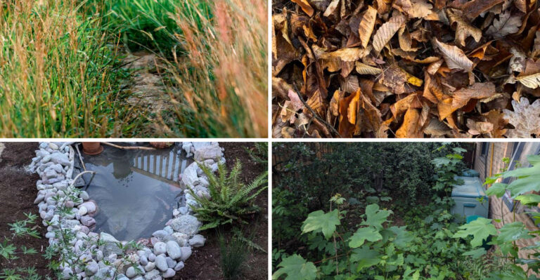 8 Oklahoma Yard Spots Where Chiggers Are Waiting, And How They Differ From Ticks