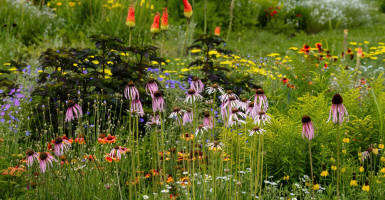 9 Reasons Utah Homeowners Are Ditching Traditional Lawns This Year