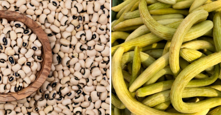 8 Vegetables Southern Illinois Gardeners Should Plant For Heat Tolerance