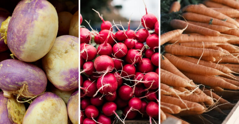 8 Vegetables To Direct Sow In Virginia The First Week Of August