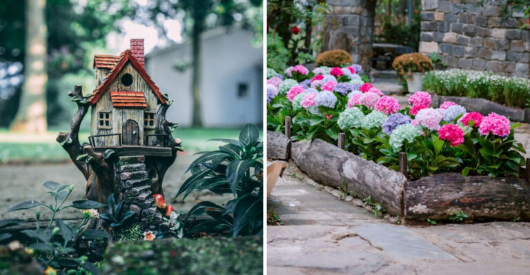 8 Ways To Hide An Old Tree Stump Instead Of Paying To Remove It In Virginia
